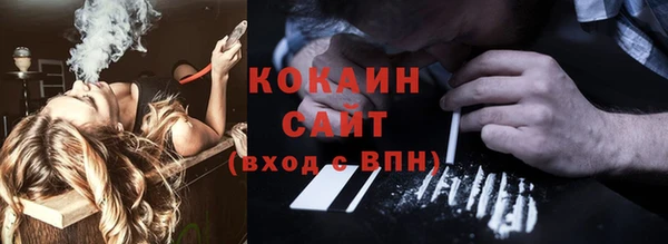 эйфоретик Ельня