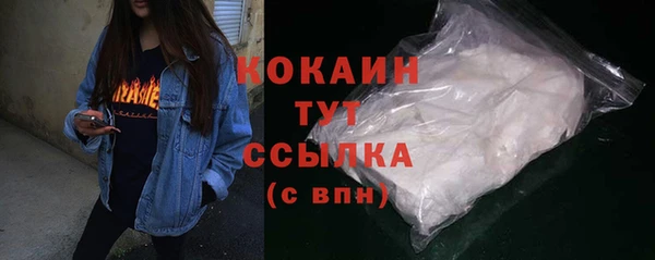 эйфоретик Ельня