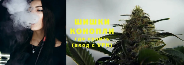 эйфоретик Ельня