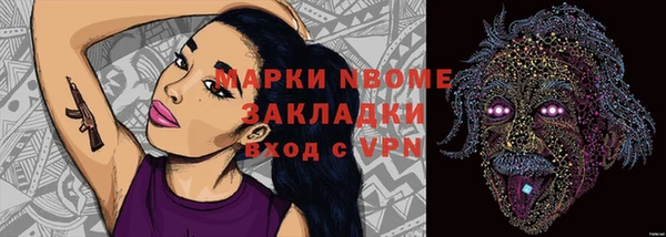 крисы Тайга