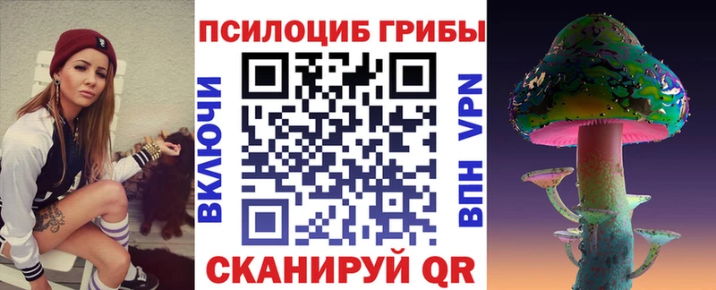 Псилоцибиновые грибы Cubensis  Купить где  Холм 
